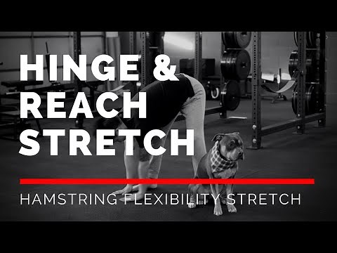 Hinge & Reach Stretch (The BEST Hamstring Stretch)