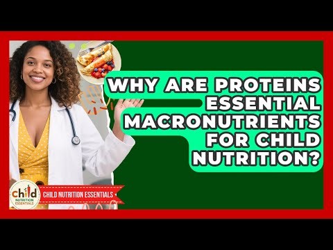 Why Are Proteins Essential Macronutrients For Child Nutrition? - Child Nutrition Essentials