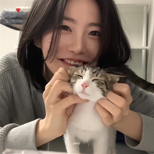 The stray kitten she rescued on a rainy day while coming home from university was once so scared of her, used to bite her and always get grumpy whenever she tried to get close. But now, they’ve finally become so close to each other! 😭🤍 SOOO CUTE!!! The fact that yeeun has a cat allergy but she still takes such good care of sungkyun makes my heart melt even more 🥹🐱❤️ #shinyeeun #신예은