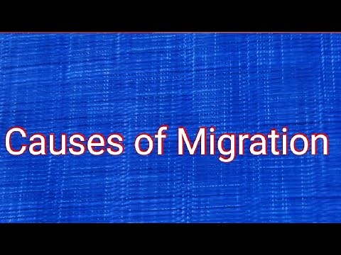 6 Causes of Migration | Factors of Migration | Learn Eassy