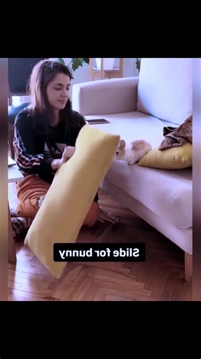 Hilarious Rabbit Moments That Will Make You Laugh