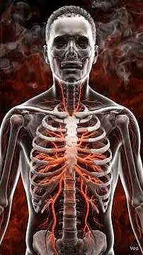 ⚠️ Poison can destroy the body within minutes. Fast medical help can save a life. Stay aware, 💀🚨