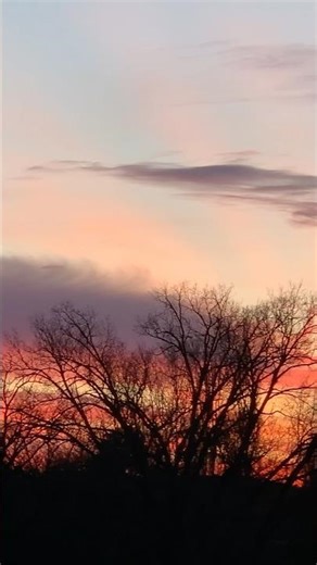 Beethoven Piano Sonata No. 14