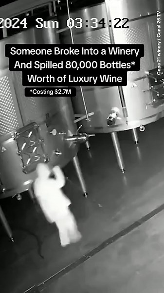 Wine Heist: Hooded Figure Releases 60,000 Litres in Spanish Winery