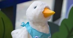 Comfort in feathers: How a duck provided support during cancer journey