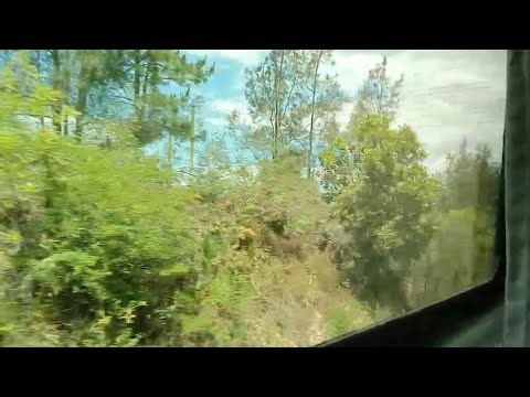 Brisbane to Sydney XPT Daysitter Train Trip Australia Window View Nov 2025 Pt 5 of 12