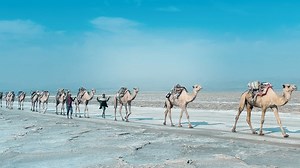 Revealed: Rann of Kutch