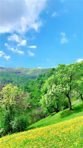 #foryouu #actives? #kurdistan #fyppppppppppppppppppppppp #tiktok #foryoupage #foryou #fyp #actives? #imrova✅