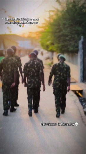 Military Camouflage and Training Insights