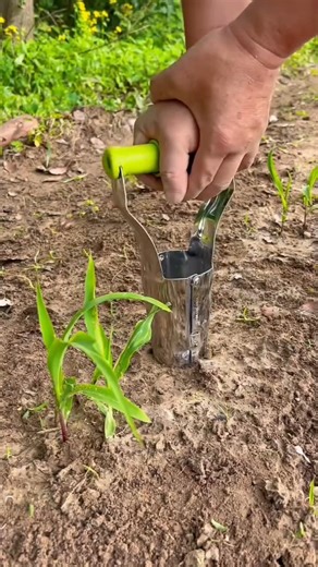 Amazing smart seedlings planting tool for rural farmers #tools #farming