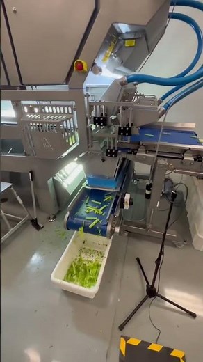 Tomra 5B - optical sorter