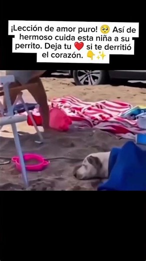 The tender connection between a little girl and her dog that is already the most viral video of t...