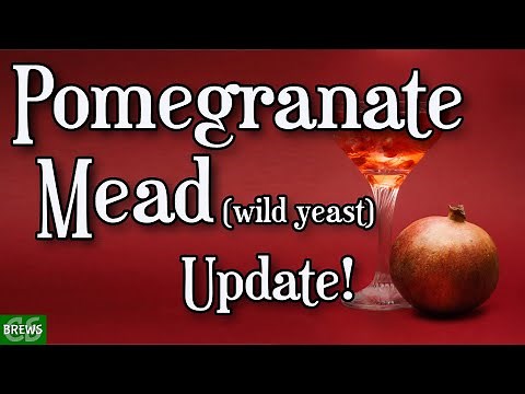 Pomegranate Wild Yeast Mead Update - How You Doin?