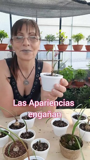 Algunas plantas parecen no decir nada. Pero cuando florecen, lo dicen todo! #suculentas #plantas #jardin #aromaticas #bonsai #jardineria #flores #plantasdeinterior #succulents #plants