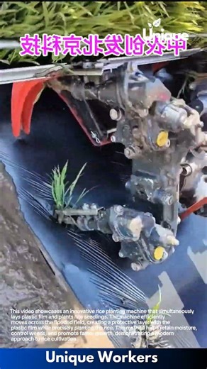 Rice Planting Revolution: See This Incredible Machine in Action!