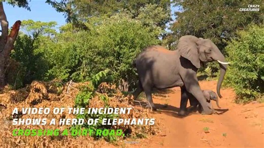 When a defensive charge threatens to crush everything in its path