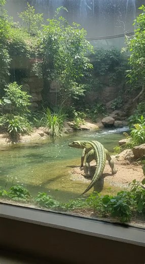 Discover Protosuchus: The First Agile Crocodile