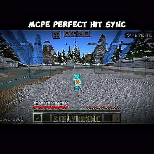 Perfect Hit Sync in Minecraft 💪 💀🗿#minecraft
