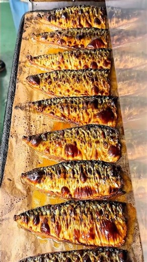 福井名物 日本一の脂がとろける元祖焼き鯖すし🍣【福井 若廣】