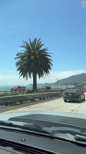 Spotted_Toad on TikTok