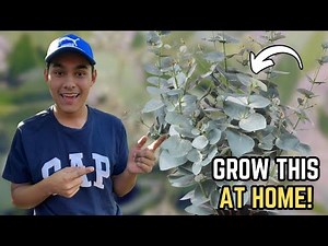 Eucalyptus Growing & Planting Guide!🌿S:4, Ep.02//The Ultimate Gardener