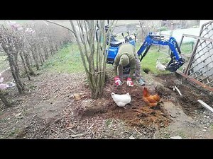 Minibagger Scheppach erste Baggerarbeiten