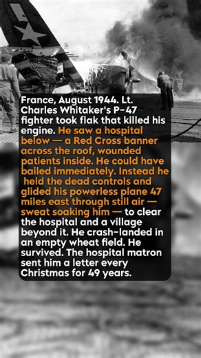 A Pilot Glided 47 Miles to Avoid a Hospital #short #history #ww2