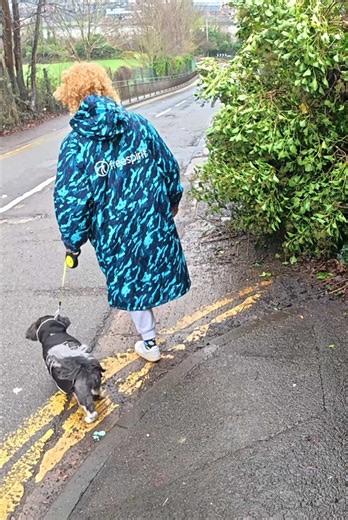 Clearing Overgrown Pathways for Pedestrian Safety