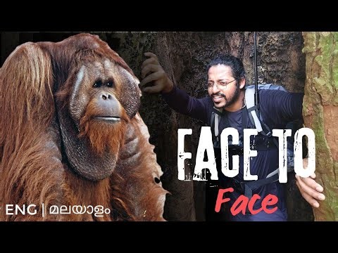Tracking Wildlife in Sumatra | Indonesia Jungle Trek