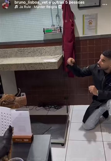 Vet puts an end to pitbull's "attitude" and goes viral on the internet.