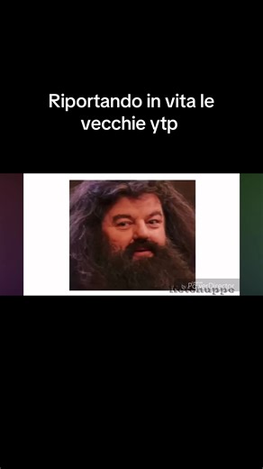 Harry Potter YTP: La Magia di Grifondoro