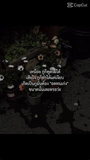 วิดีโอของ Supatsara.🍼🤏 (@supatsara299) พร้อมเพลง เสียงต้นฉบับ - Supatsara.ฯ.😋 - Supatsara.🍼🤏