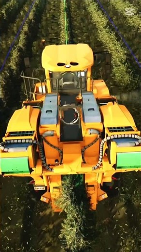 Zeytin Hasadı Başladı! 🫒 1 Günde Kaç Kasa Çıkar? 😮 #shorts #fs25