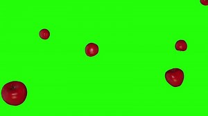 A lot of Red Apple falling down green screen effect