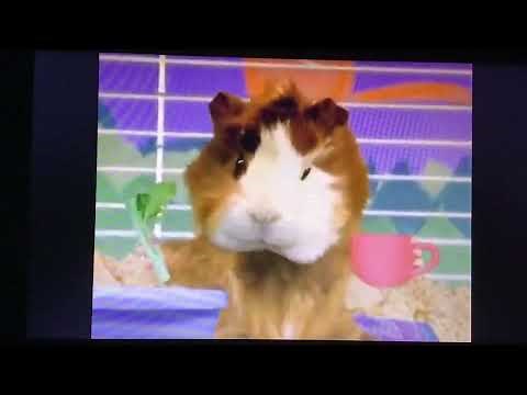 Wonder Pets Save The Mouse