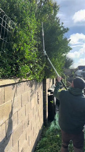 Th overhang bushes strike again. This time we had a mutual agreement from both neighbours on letting us cutback what we needed. #fyp #gardentok #satisfy #satisfyingvideos #hedging