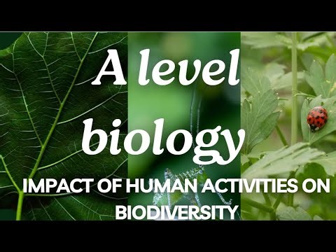 A Level Biology Edexcel A SNAB: Topic 4: Human Activities impact on Biodiversity