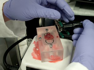 A Proteoliposome-Based Efflux Assay to Determine Single-molecule Properties of Cl- Channels and Transporters