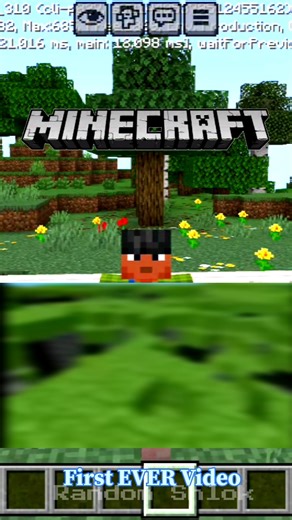 First EVER MINECRAFT Video - (Hindi) #shorts