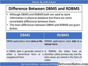 DBMS和RDBMS - 软件 2026