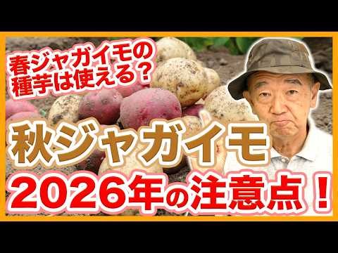 Essential Tips for Growing Fall Potatoes in 2026 for Home Gardens and Farms! Best Recommended Var...