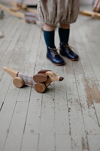 Dog Pull Toy, Personalized Pull Along Wooden Toy for Toddler - Etsy