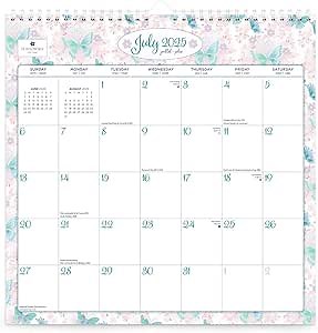 2025 Year Labels, Doctor Stuff 2025 Chart Stickers, Holographic Silver Colored, USA Made Year Label for End Tab File Folders, 500 Labels per Roll, 1 Roll, 3/4" x 1-1/2"