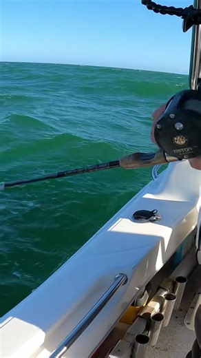 Have you tried this method？ - 7314241643228450049 . #bait #fishing #burley #fyp | James’ Fishing