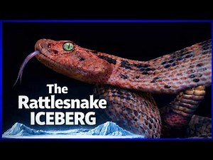 Everything YOU Need To Know About Rattlesnakes: The Rattlesnake Iceberg