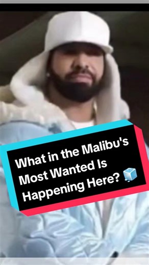 What in the Malibu's Most Wanted Is going on here?