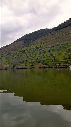 Winter Serenity: Discover the Magic of Douro Valley #douro