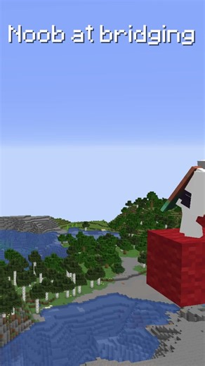 Pro vs Noob at bridging