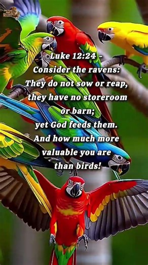 Sing like never before oh my soul #prayershorts #shortsprayer #prayermusic #biblereflection