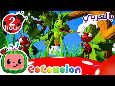 النملة والجراد | كوكو ميلون بالعربي | برامج كرتون و أغاني للأطفال | Cocomelon Arabic